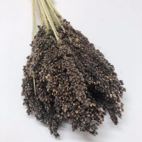 Organic Black Sorghum