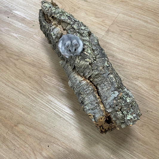 Long Cork Log (FREE RANDOM WOOD DECOR WITH PURCHASE)