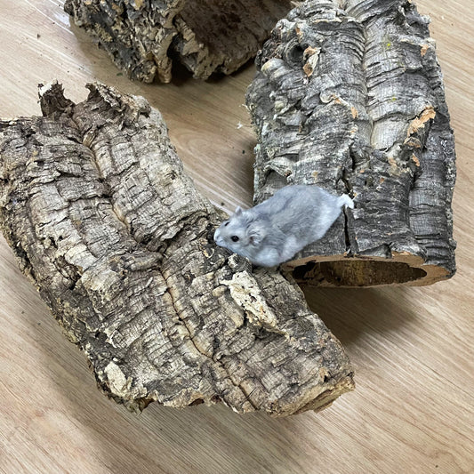 Medium Cork Log