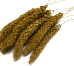 Organic Mohair Millet Sprays