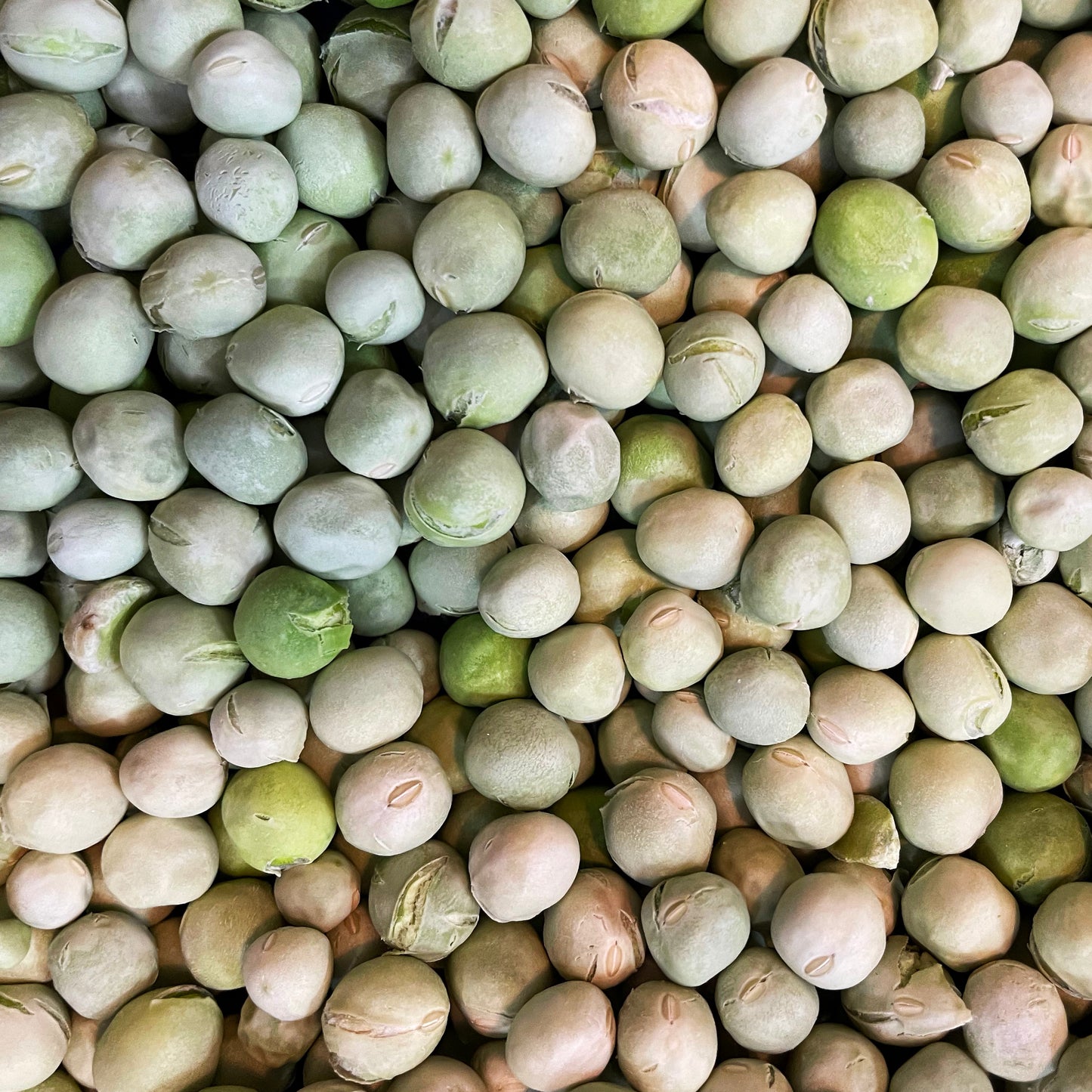 Freeze dried Peas
