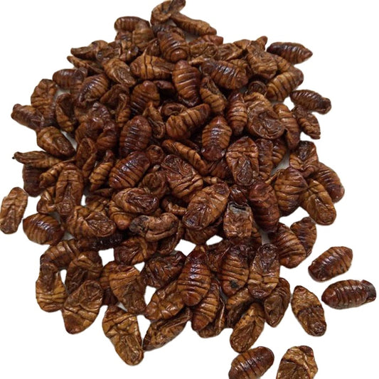 Dried Silkworm Pupae