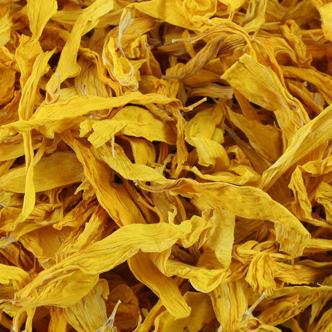 Sunflower Petals